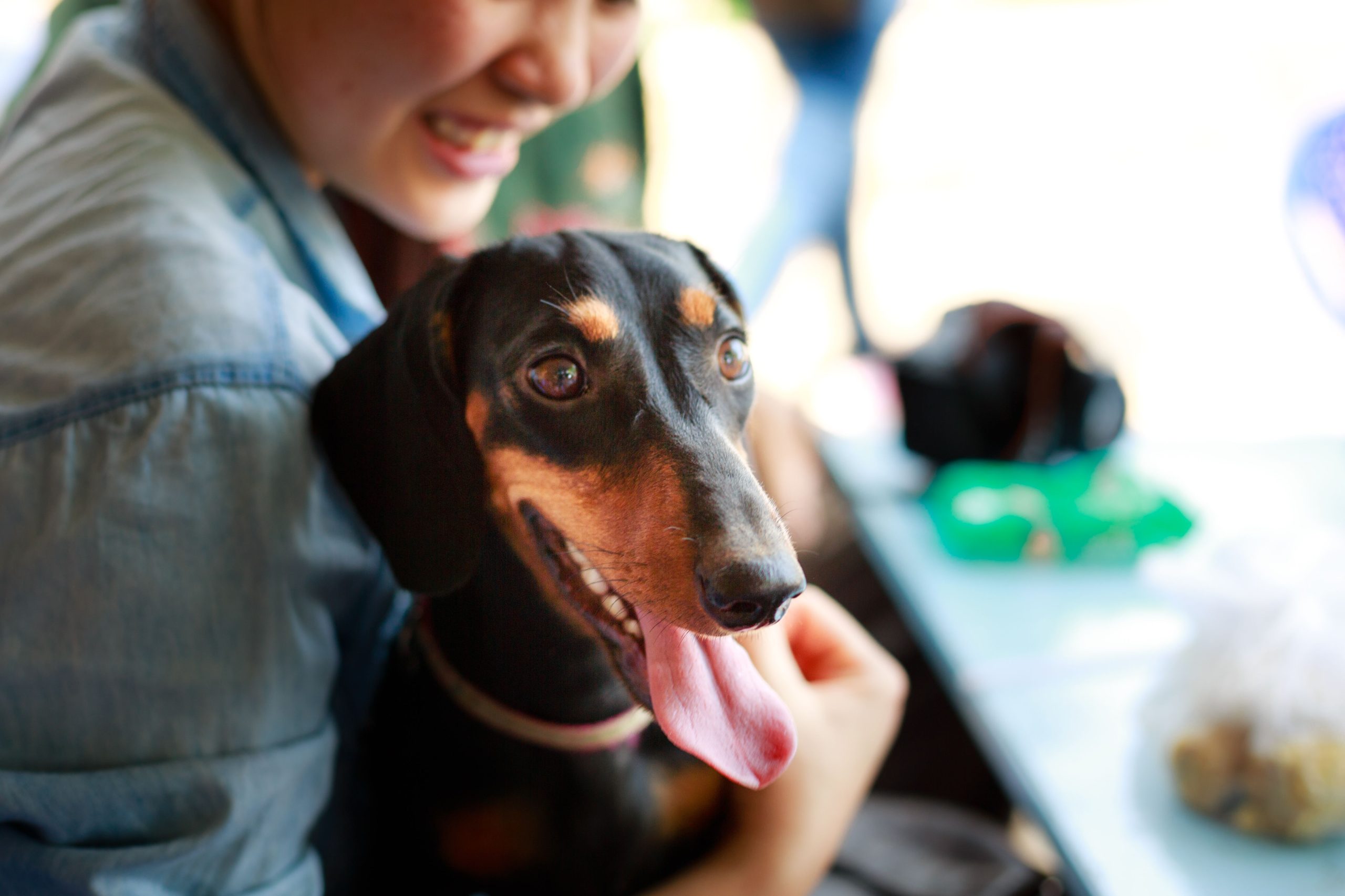 A joyful woman holds her dachshund at an outdoor cafe, enjoying a warm sunny day.